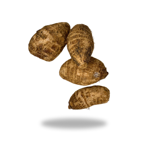 Frische Cocoyam