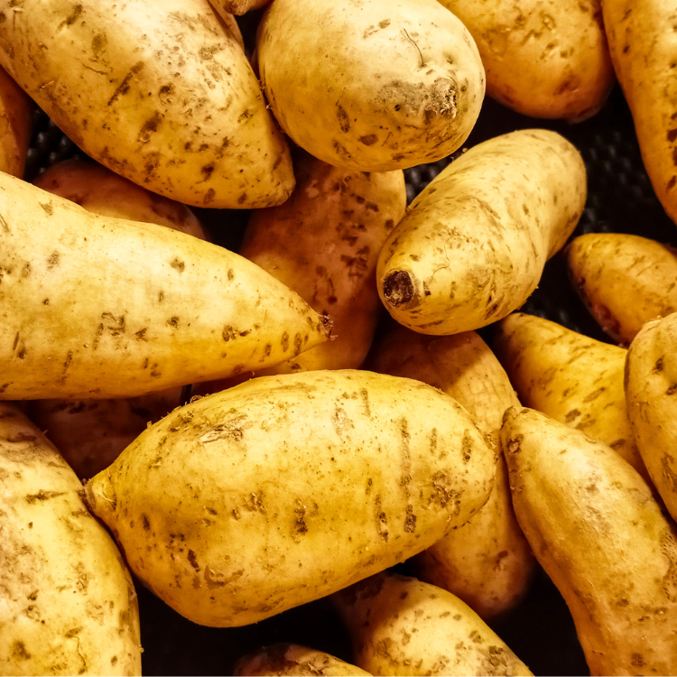 Weiße Süßkartoffeln