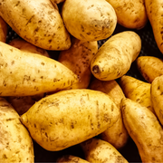 Weiße Süßkartoffeln