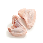 Frische Putenflügel